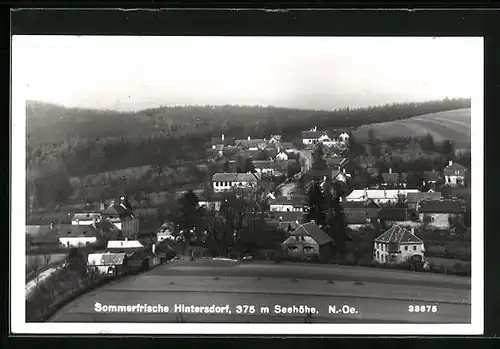 AK Hintersdorf, Ortsansicht mit Wald