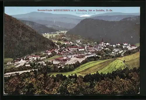 AK Weissenbach a. d. Triesting, Ortsansicht mit Schneeberg