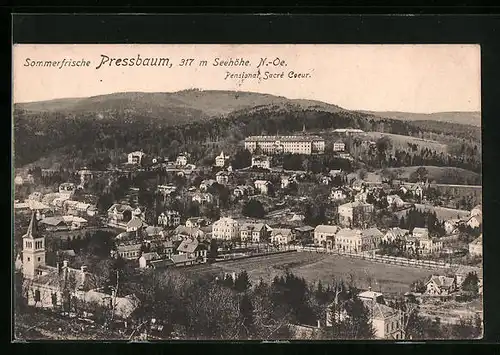 AK Pressbaum, Ortsansicht mit Pensionat Sacré Coeur