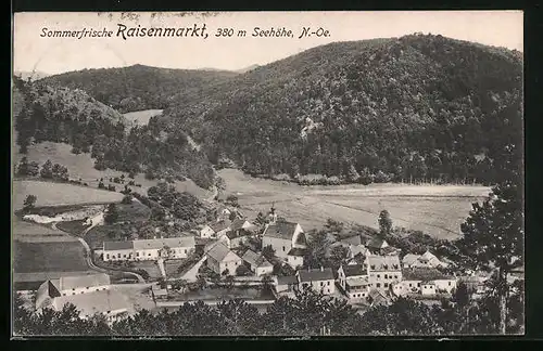 AK Raisenmarkt, Sommerfrische im Tal