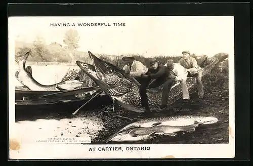 AK Cartier /Ontario, Männer reiten auf Riesenhecht, optische Täuschung