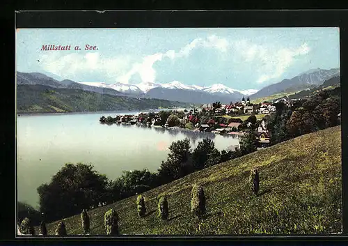 AK Millstatt am See, Ortsansicht von einer Wiese aus