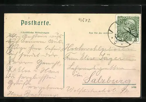 AK Millstatt am See, Totalansicht