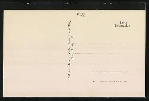 AK Millstatt am See, Teilansicht mit Feldern