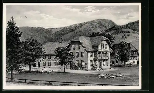 AK Bernau /Baden, Gasthaus und Pension Zum Rössle, Inh.: A. Mäule