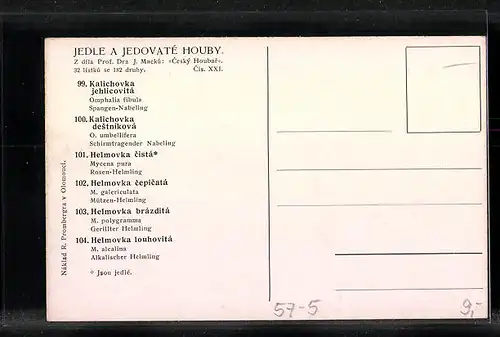 Künstler-AK Pilzarten Nabelinge und Helmlinge