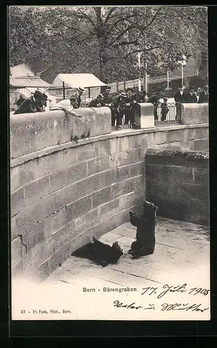 AK Bern, Besucher füttern Bären im Bärengraben