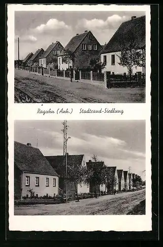 AK Raguhn /Anh., Ansichten der Stadtrand-Siedlung