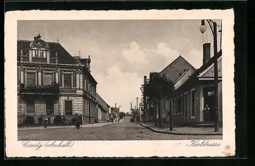 AK Coswig /Anhalt, Blick in die Karlstrasse