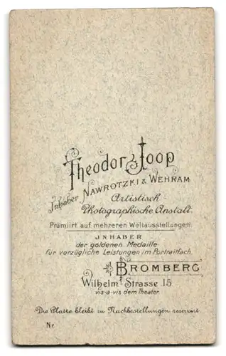 Fotografie Th. Joop, Bromberg, Wilhelmstr. 15, Portrait bildschönes Fräulein in bestickter Bluse