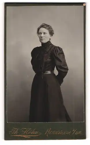 Fotografie Th. Höhn, Heidenheim a. Br., Grabenstr., Portrait einer elegant gekleideten Frau im prachtvollen Kleid