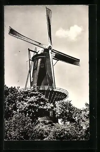 AK Woerden, Korenmolen, Windmühle