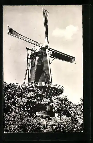 AK Woerden, Korenmolen, Windmühle