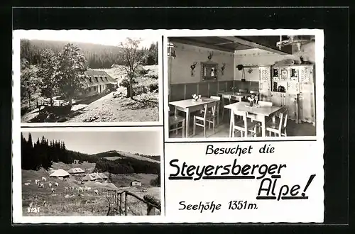 AK Kirchberg am Wechsel, Gasthaus Steyersberger Alpe