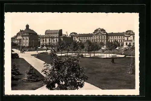 AK Mlada Boleslav, Vystaviste