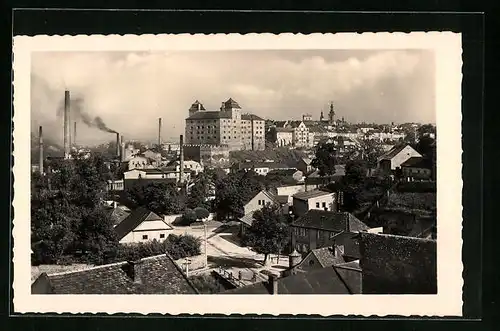 AK Mlada Boleslav, Celkovy pohled