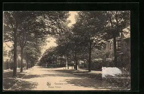 AK Verviers, Avenue Peltzer