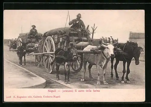 AK Neapel / Napoli, (Costumi)-Il carro della farina