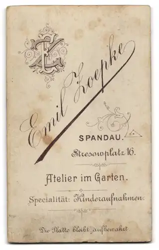 Fotografie Emil Zoepke, Berlin-Spandau, Stresow Platz 16, Portrait elegant gekleideter Bube mit Fliege im Jackett