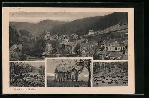 AK Altenbrak / Bodetal, Gebäudeansicht, Wildschweine & Hirsche, Panorama