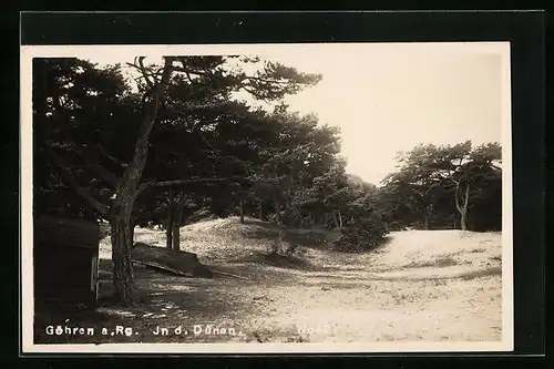 AK Göhren / Rügen, in den Dünen