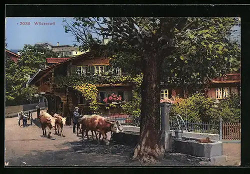 AK Wilderswil, Ortspartie und Bauer mit Kühen an der Tränke