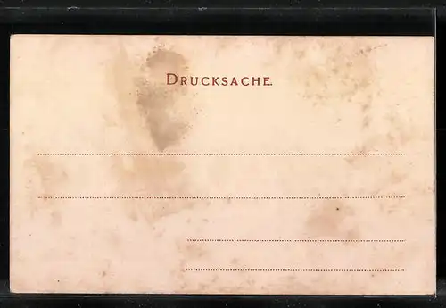 AK Stein a. Rh., Uferpartie mit Kirche und Brücke