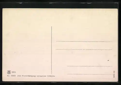 AK Millstatt a. See, Teilansicht