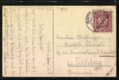 AK Millstatt a. See, Teilansicht