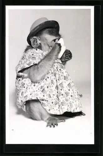 AK Affe mit Hut und Kleid, vermenschlichte Tiere