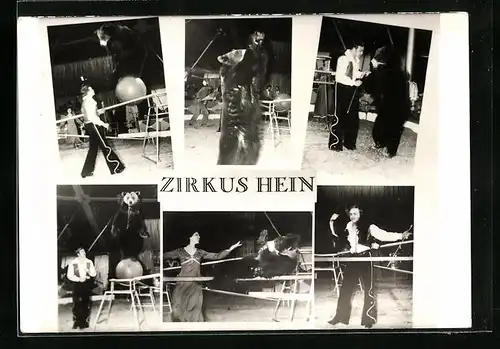 AK Zirkus Hein, sechs Ansichten mit Dompteur