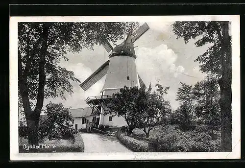 AK Sonderborg, Dybbol Molle