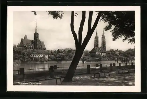 AK Breslau, Dominsel