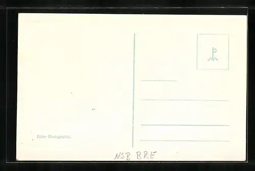 AK Breslau, Dominsel