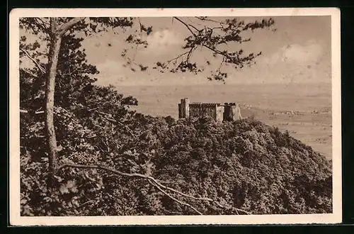 AK Ganzsache WHW Winterhilfswerk, Neustadt a. Hdt., das historische Hambacher Schloss