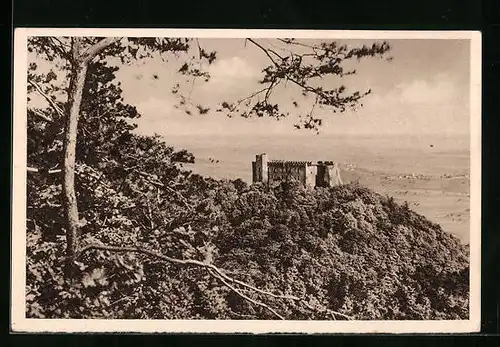 AK Ganzsache WHW Winterhilfswerk, Neustadt a. Hdt., das historische Hambacher Schloss
