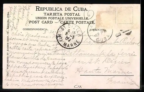 AK Habana, Indian Statue