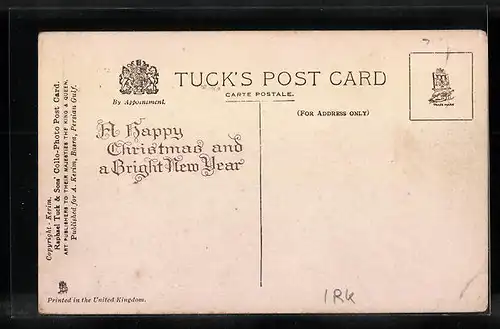 AK Basra, The Government House