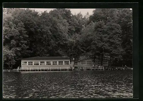 AK Feldberg /Meckl., Luzin-Halle