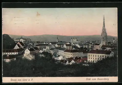 AK Linz a. D., Blick vom Bauernberg auf den Ort mit Kirche