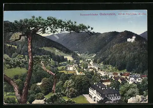 AK Gutenstein, Teilansicht mit Baum