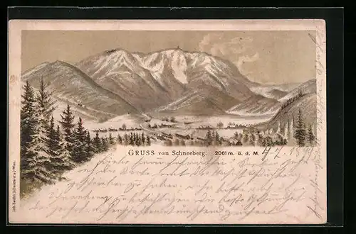 Lithographie Schneeberg, Teilansicht mit Tannen