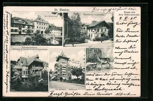 AK St. Blasien, Das Kurhaus Südfacade, Dépendance Luisenruhe, Der Klosterhof