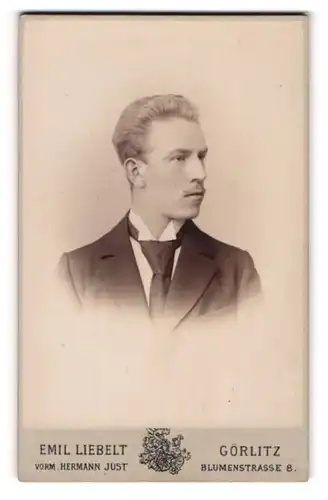 Fotografie Emil Liebelt, Görlitz, Blumenstrasse 8, Junger Mann mit Oberlippenbart und auffällig breiter Krawatte