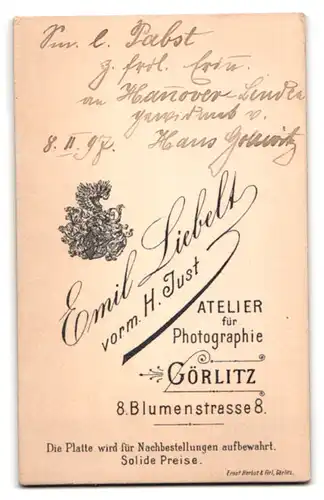 Fotografie Emil Liebelt, Görlitz, Blumenstrasse 8, Junger Mann mit Oberlippenbart und auffällig breiter Krawatte