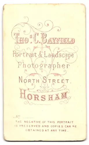 Fotografie Tho. C. Bayfield, Horsham, North Street, Mann mit Einstecktuch an Recamiere anlehnend