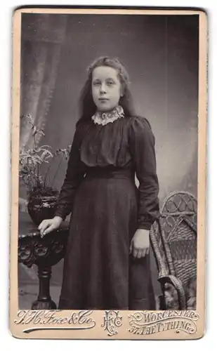 Fotografie I. H. Fox & Co., Worcester, 37. The Tything, Junge Dame im Kleid an Tisch anlehnend
