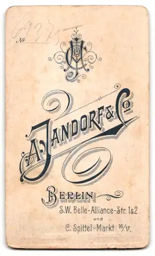 Fotografie A. Jandorf & Co, Berlin, S. W. Belle Alliance-Str. 1 & 2, Junge Dame im plissierten Kleid