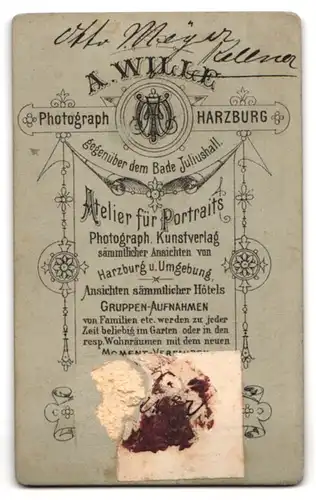 Fotografie A. Wille, Harzburg, Junger Mann im karierten Anzug