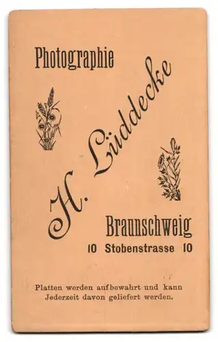 Fotografie H. Lüddecke, Braunschweig, Stobenstr. 10, Junger Herr im Anzug mit Krawatte